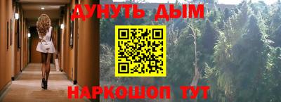 шишки Гатчина