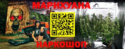 шишки Гатчина
