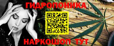мяу мяу мука Гай