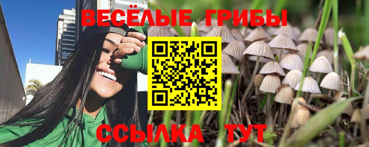 Галлюциногенные грибы мухоморы Карасук
