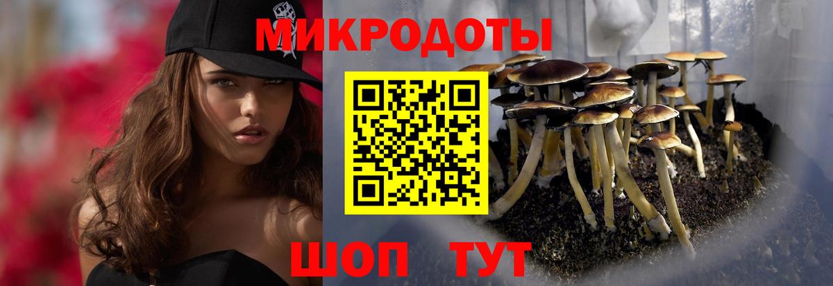 Карасук  Псилоцибиновые грибы Psilocybe  Вход с VPN 